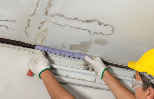 Reliable Mold Remediation contractor in Seymour, TX by Water Damage Irwin